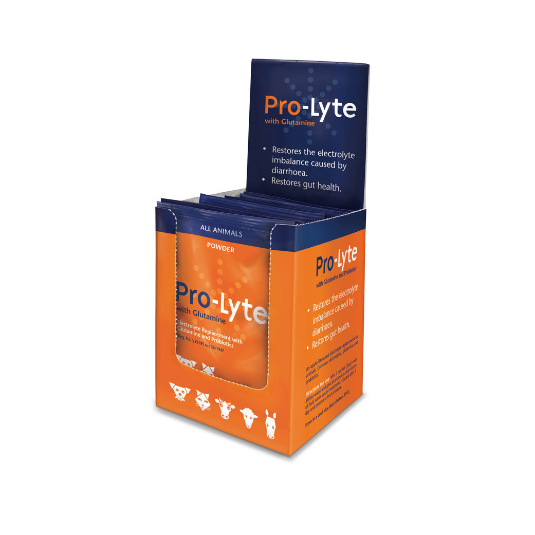 Pro-Lyte with Glutamine – 10 x 20g Sachets | Electrolyte & Gut Health Support for All Animals