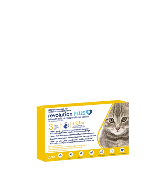 Revolution Plus for Cats: Ultimate 6-in-1 Parasite Protection