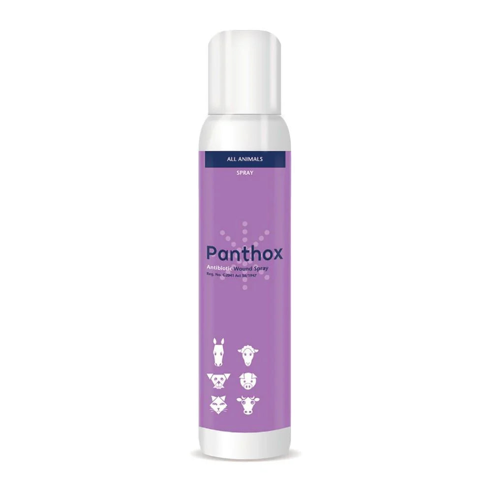 Panthox with Gentian Violet – 200ml Antiseptic Spray for Wound Care & Skin Protection