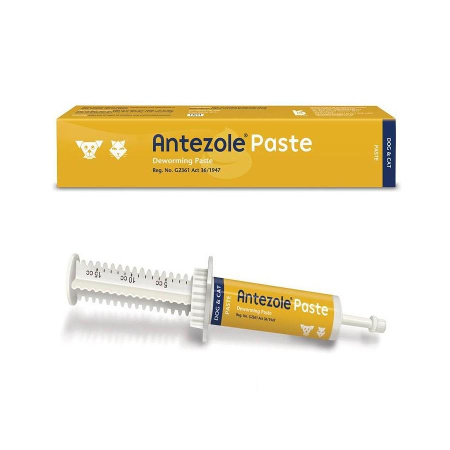 Antezole Deworming Paste for Dogs – Broad-Spectrum Worm Control