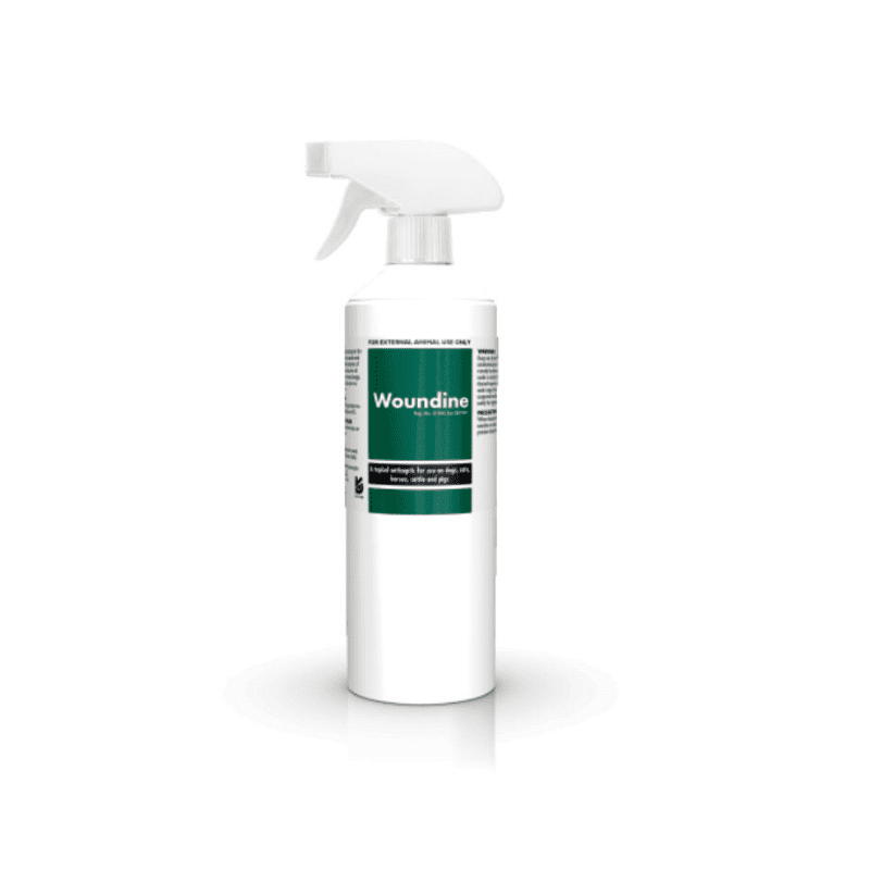 Woundine Antiseptic Spray with Pump – 500ml