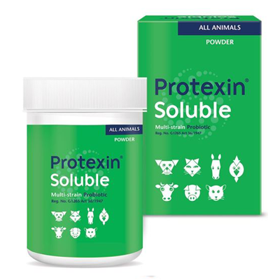Protexin Soluble Probiotic Powder – Multi-Strain Digestive Support for All Animals