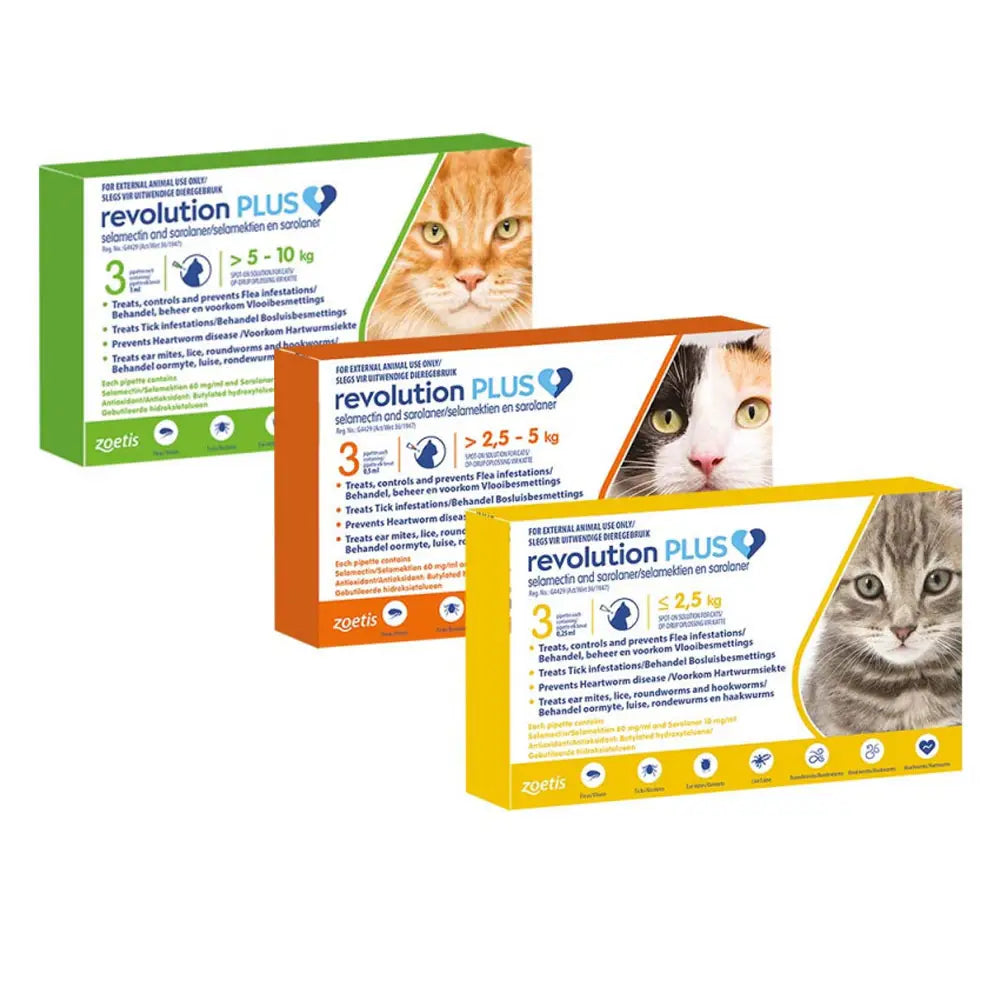 Revolution Plus for Cats: Ultimate 6-in-1 Parasite Protection