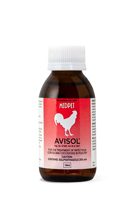 Avisol Solution: Treatment for Infectious Coryza and Coccidiosis in Pigeons