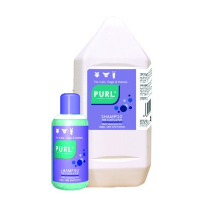 Purl Regular Dog & Cat Shampoo – Gentle Everyday Cleanser for All Breeds