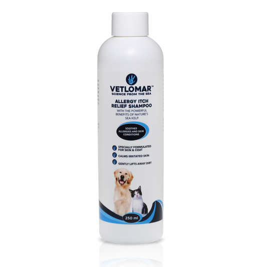 Vetlomar Itch Relief Shampoo for Dogs and Cats – Soothing Anti-Itch Formula for Sensitive Skin (250ml)