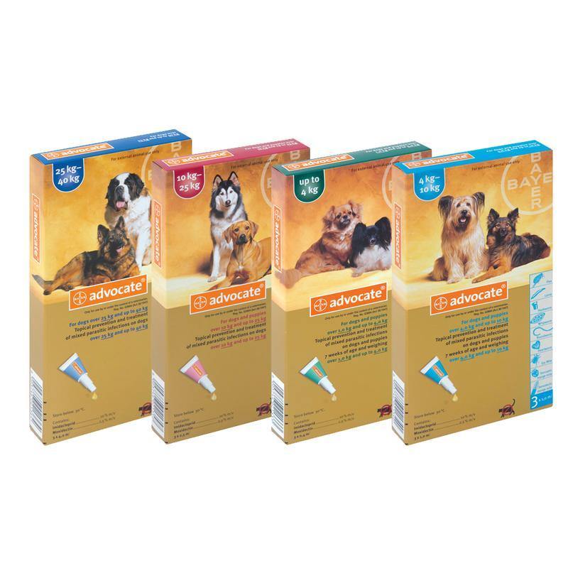 Advocate for Dogs – All-in-One Flea, Worm & Heartworm Protection