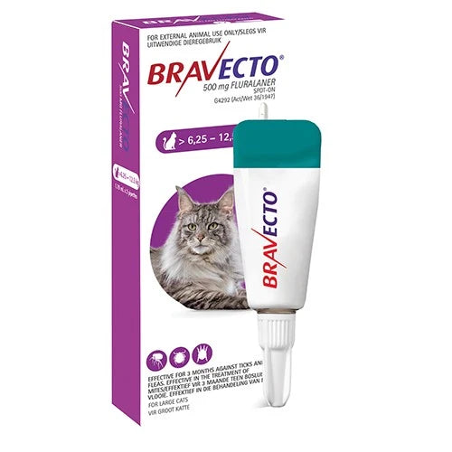 Bravecto Spot-On Flea & Tick Treatment for Cats
