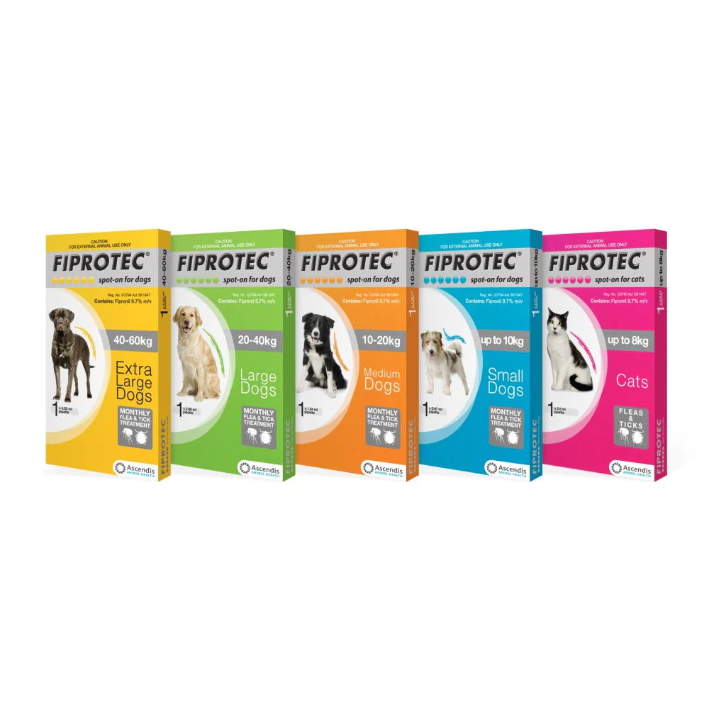 Fiprotec Tick and Flea Treatment for Dogs