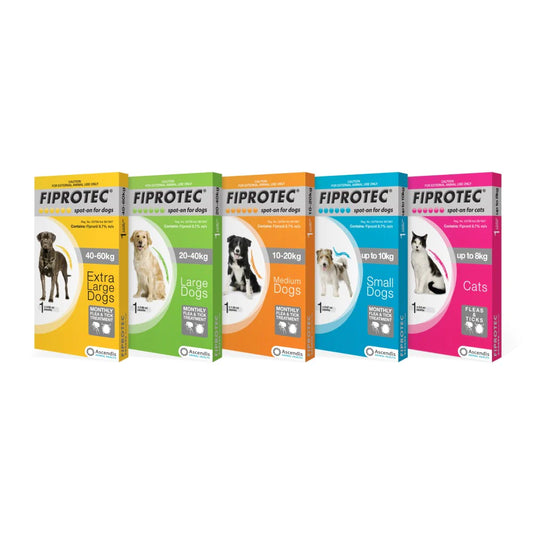 Fiprotec Tick and Flea Treatment for Dogs