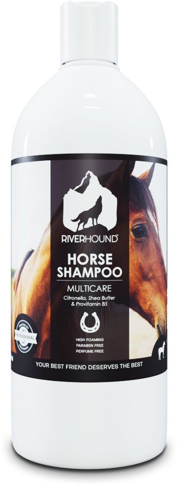 Riverhound Horse Multicare Shampoo - All-in-One Cleanse, Condition & Protect - Pet Pharma