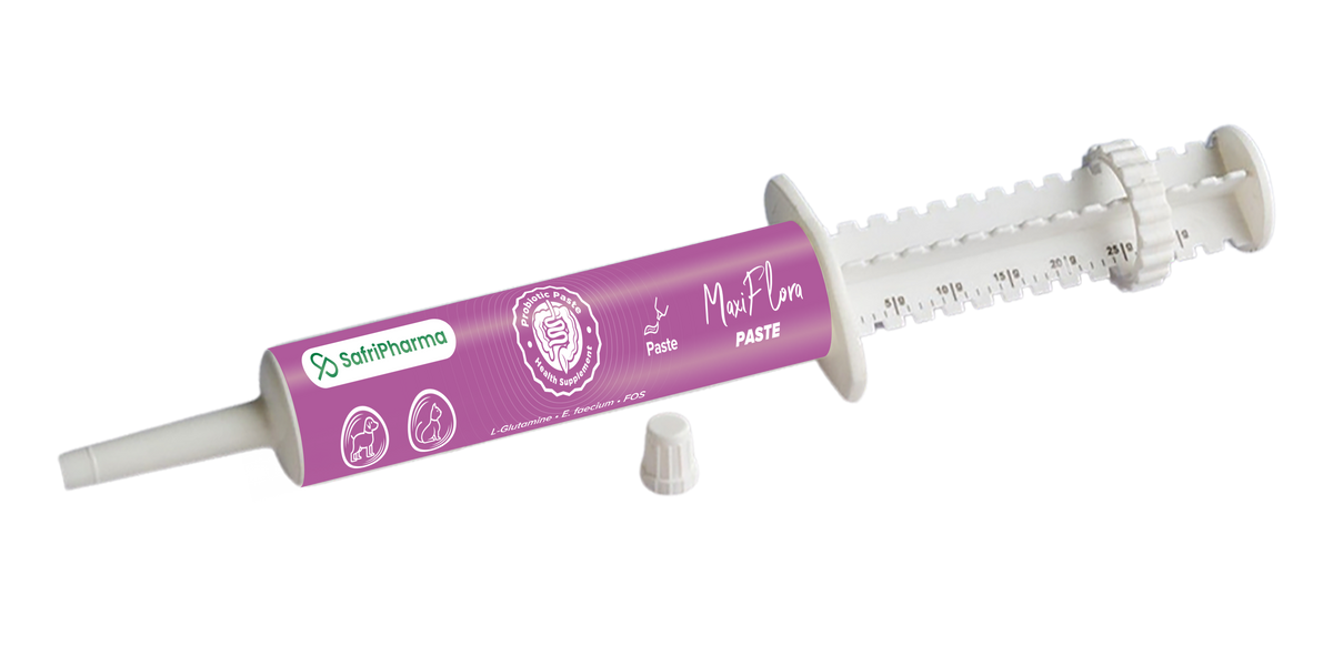 Nutrimed Maxiflora Paste – Oral Probiotic and Prebiotic Paste for Digestive Support - Pet Pharma