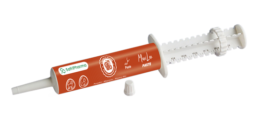 Nutrimed Maxilax Paste – Oral Laxative Support for Constipation in Animals - Pet Pharma