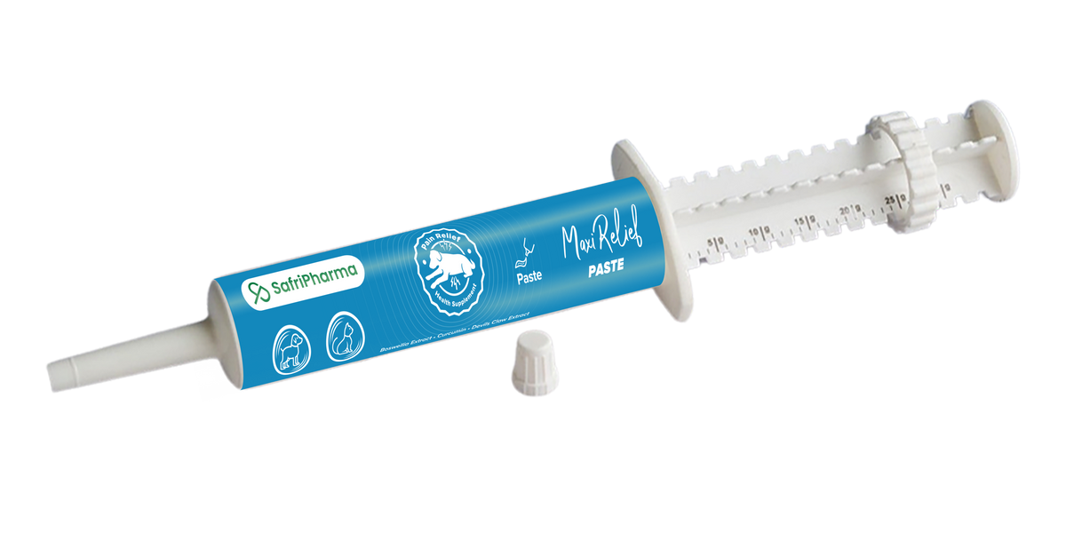 Nutrimed MAXIJOINT Relief Paste | Natural Joint Pain Relief & Mobility - Pet Pharma