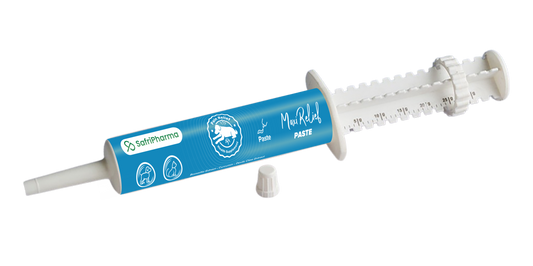 Nutrimed MAXIJOINT Relief Paste | Natural Joint Pain Relief & Mobility - Pet Pharma