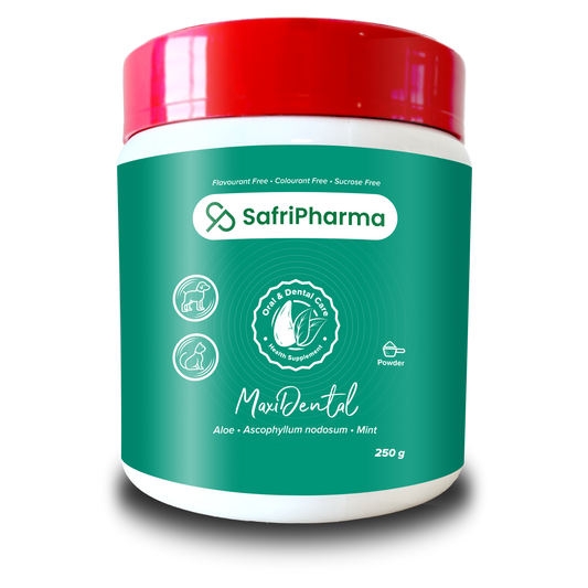 Nutrimed Maxidental – Oral Hygiene and Plaque Control Support for Dogs and Cats - Pet Pharma