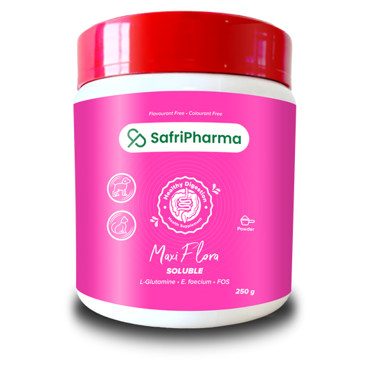 Nutrimed Maxiflora Soluble – Probiotic and Prebiotic Digestive Support for Animals - Pet Pharma