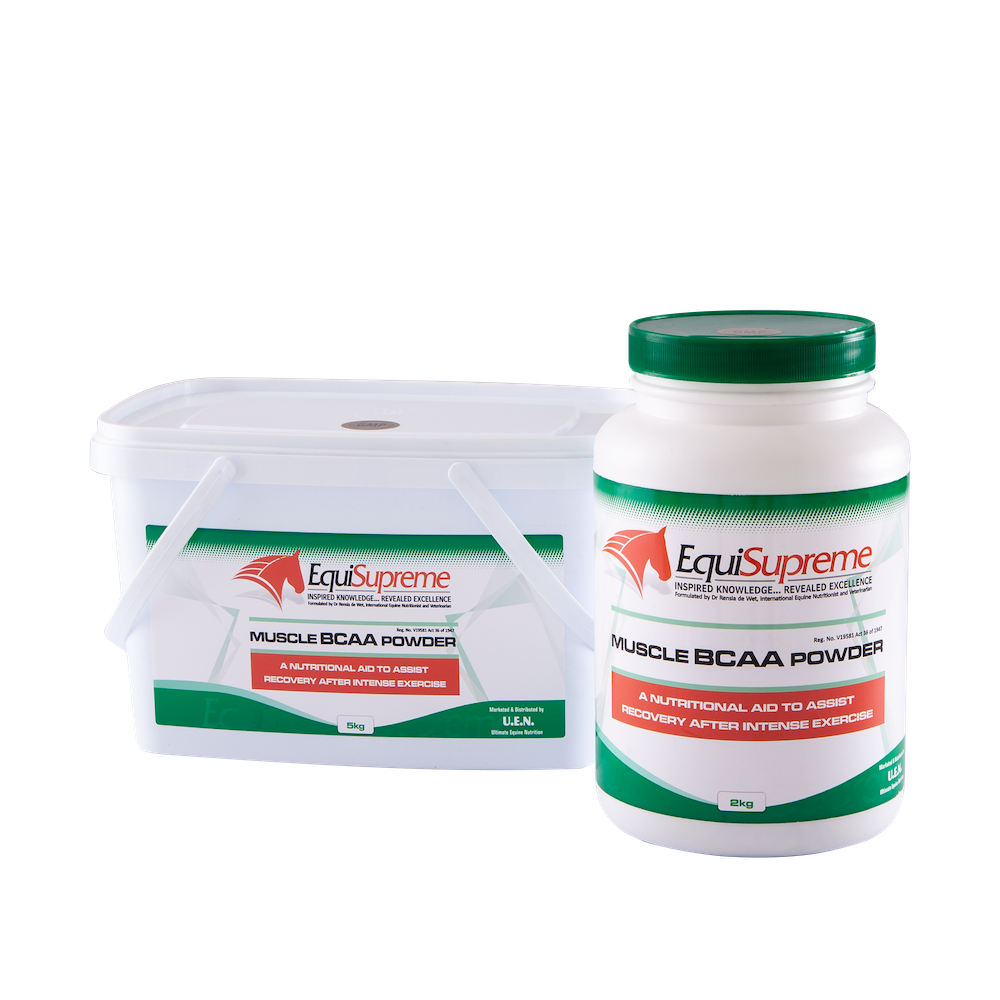 Equisupreme Muscle BCAA | Equine Branched-Chain Amino Acid Supplement