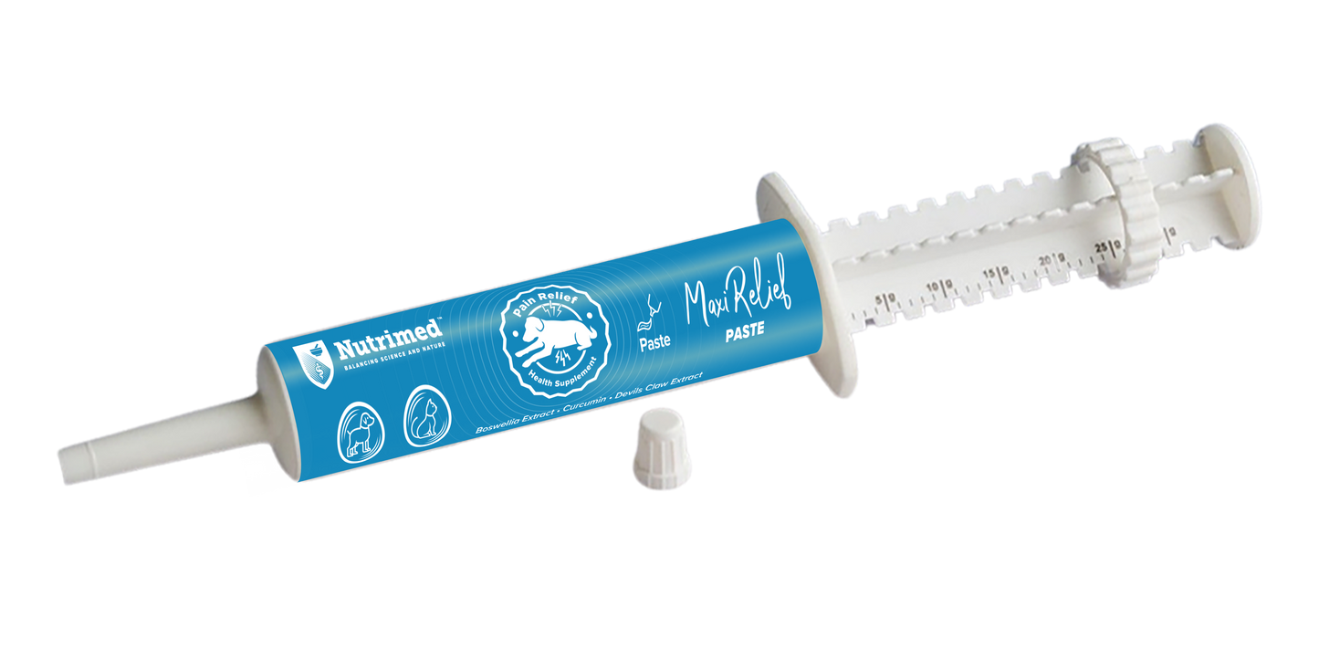 Nutrimed MAXIJOINT Relief Paste | Natural Joint Pain Relief & Mobility