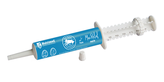 Nutrimed MAXIJOINT Relief Paste | Natural Joint Pain Relief & Mobility