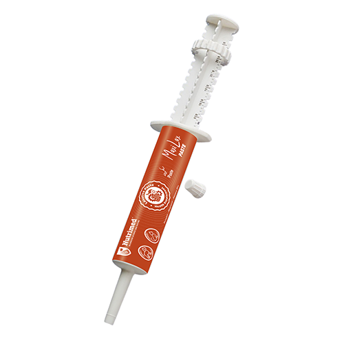 Nutrimed MAXILAX PASTE - Pet Pharma