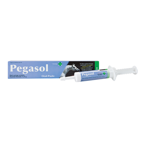 Pegasol oral paste for horses in a syringe packaging with product information.