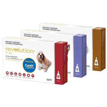 Revolution Tick and Flea Treatment Pack of 3