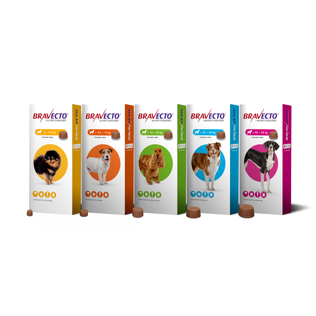 Bravecto Chews