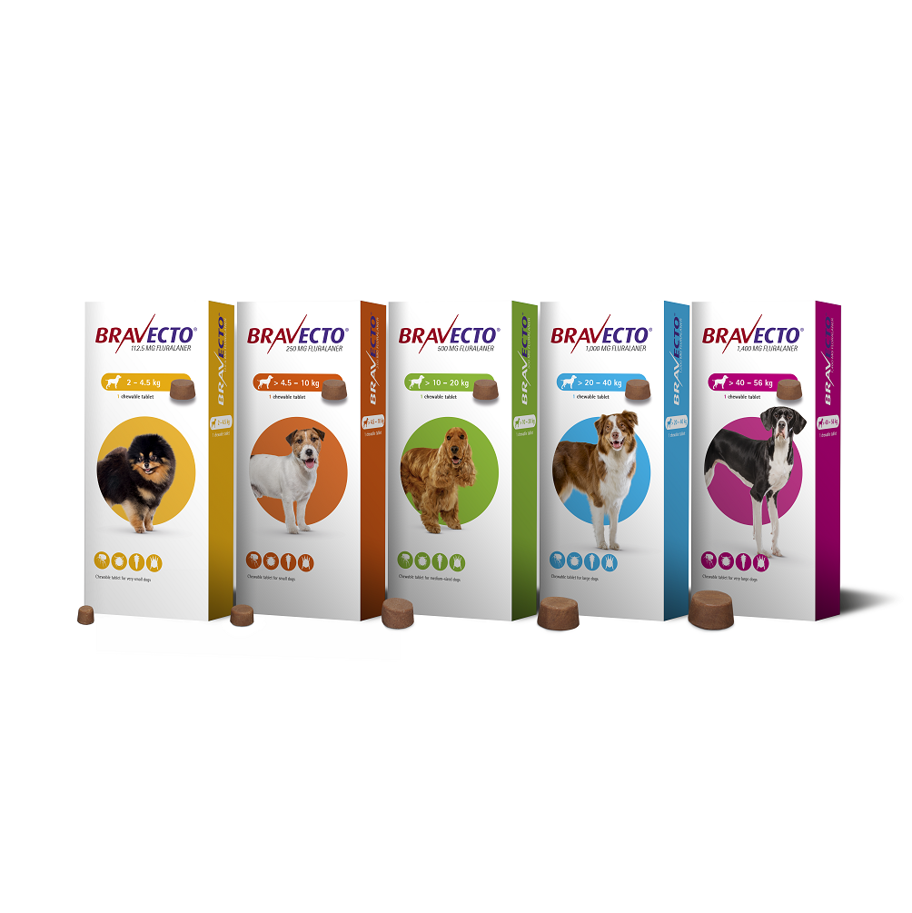 Bravecto Chews - Pet Pharma