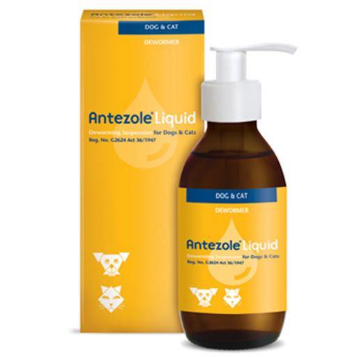 Antezole Deworming Liquid 100ml – Effective Roundworm & Hookworm Treatment for Dogs & Cats